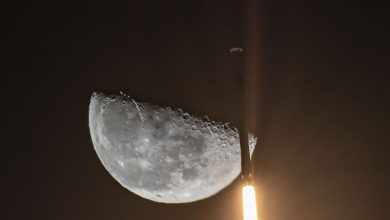 شركة SpaceX ترسل مهمة قمرية ممولة بواسطة Dogecoin