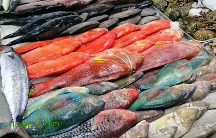عملة منقولة عدائي  أفضل أنواع السمك في السعودية للشوي والقلي في جدة والخليج العربي 2021 –  الحياة مكس