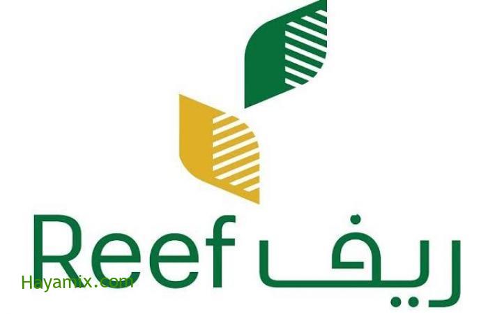 خطوات التسجيل في منصة ريف reef الإلكترونية لدعم المزارعين