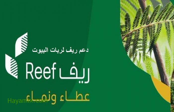 رابط التسجيل في دعم ريف 1442 عبر منصة ريف الإلكترونية reef.gov.sa والقطاعات المستهدفة