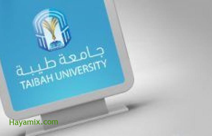 7 برامج أكاديمية جديدة بجامعة طيبة بالمدينة المنورة وفروعها