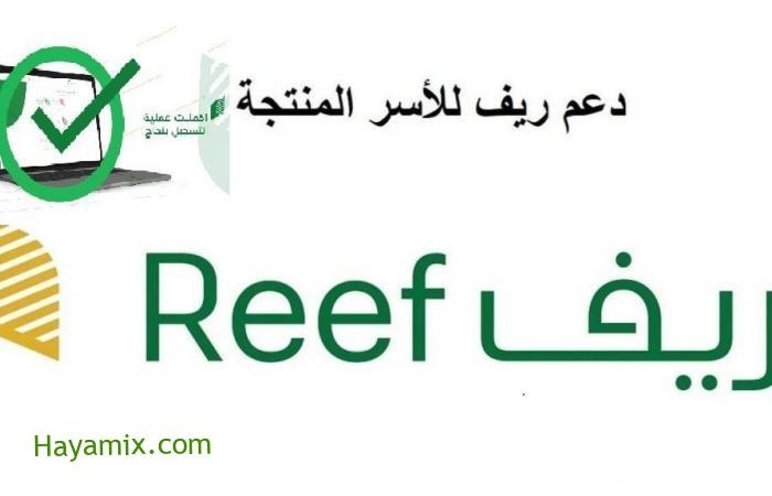 reef.gov.sa رابط تسجيل دخول برنامج ريف للدعم المادي وخطوات إنشاء حساب جديد وتقديم طلب مستفيد