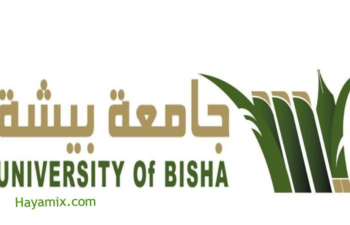 جامعة بيشة في المملكة العربية السعودية طريقة التسجيل في الوظائف الاجتماعية