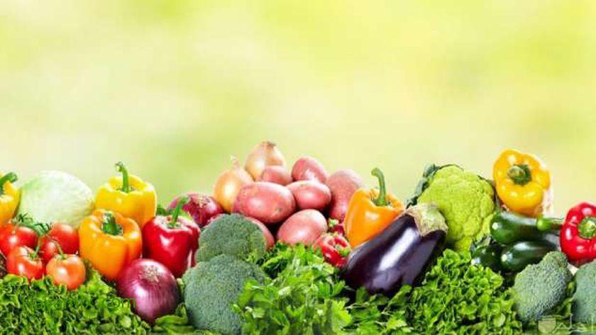 أسعار الخضروات في أسواق مصر اليوم الإثنين 23 أغسطس2021
