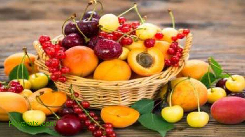 أسعار الفاكهة في أسواق مصر اليوم الخميس 19-8-2021