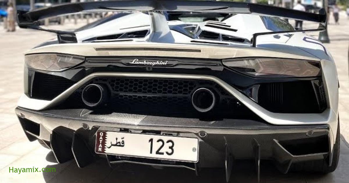 الخليج: شراء لوحة مميزة لسيارته بنحو 12 مليون دولار