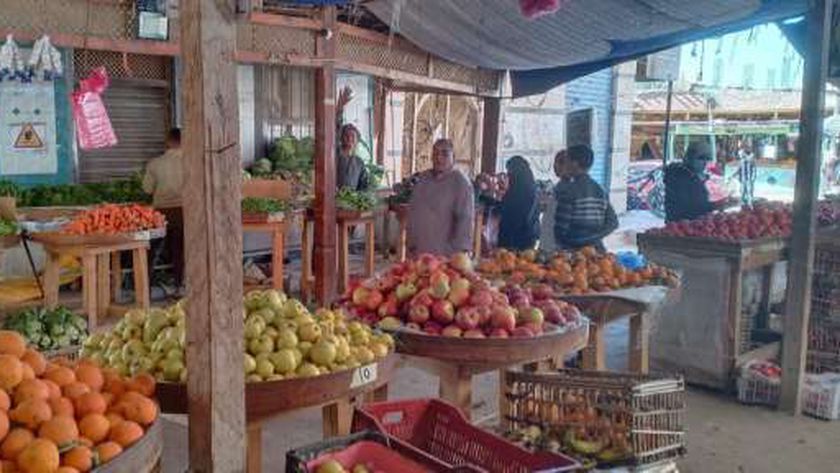 أسعار الخضروات في أسواق مصر اليوم الأحد 12 سبتمبر 2021