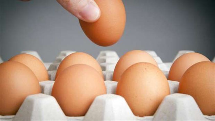 سعر طبق البيض اليوم الأربعاء 26 يناير في الأسواق