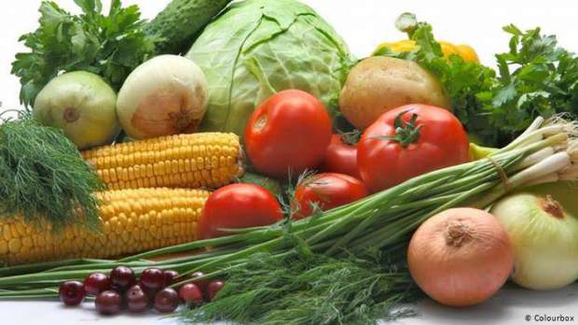 أسعار الخضروات في أسواق مصر اليوم الأحد 31 أكتوبر 2021