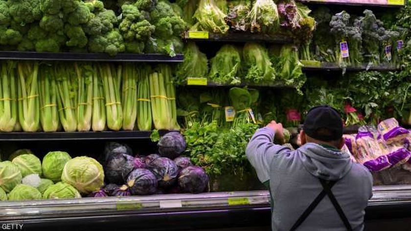 أسعار الخضروات في أسواق مصر اليوم الأحد 14 نوفمبر 2021