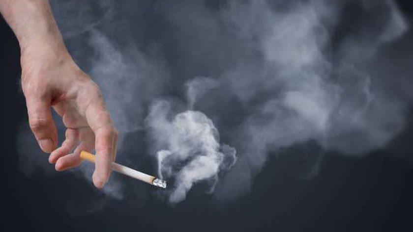 تشمل المدخن ومدير المؤسسة.. تعرف على غرامة التدخين في المنشآت الحكومية