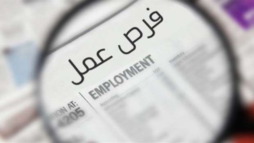 وظائف جديدة للخريجين في بنك مصر.. الشروط وكيفية التقديم
