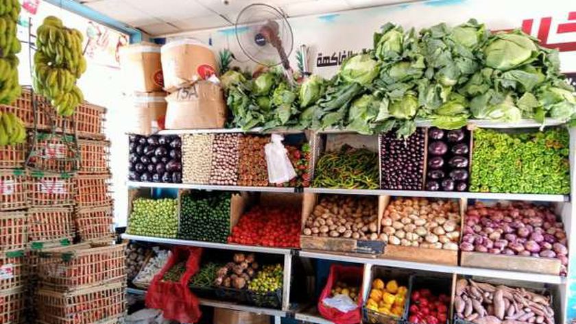 أسعار الخضروات في أسواق مصر اليوم الجمعة 10 ديسمبر 2021