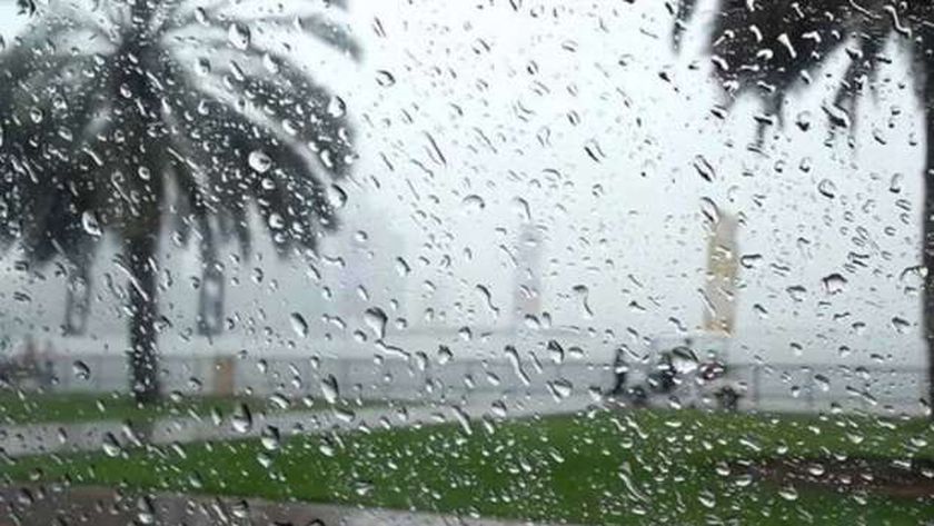 «الأرصاد»: استمرار سقوط أمطار على الوجه البحري غدا