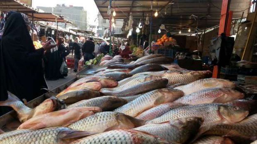 استقرار أسعار الأسماك قبيل الكريسماس.. وإقبال على «الجمبري والسبيط»