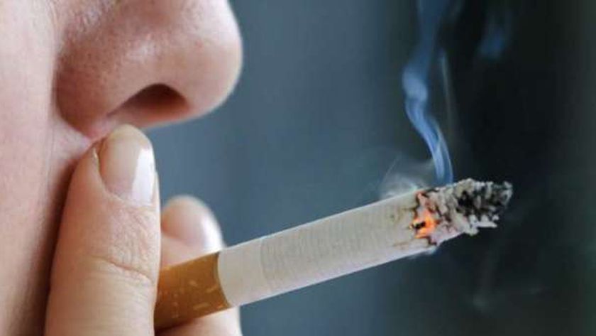 قرارات جديدة من «حماية المستهلك» بشأن بيع السجائر والمعسل