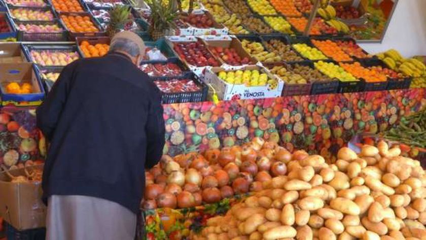 شعبة الخضر والفاكهة: زيادة الإنتاج ووفرة المعروض أسباب تراجع التضخم