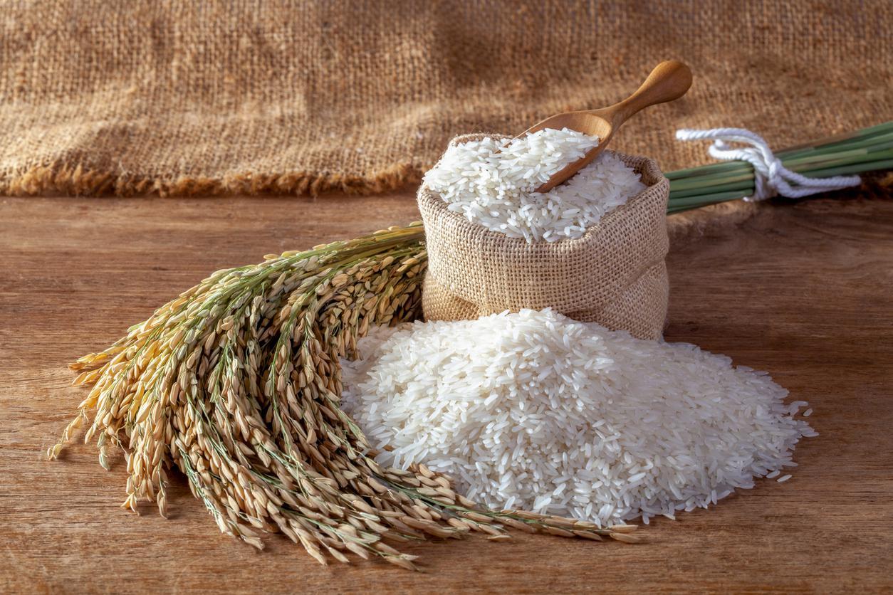 كيف يتم تخزين الأرز؟  ما الذي يمكن فعله لمنع إصابة الأرز بالديدان؟