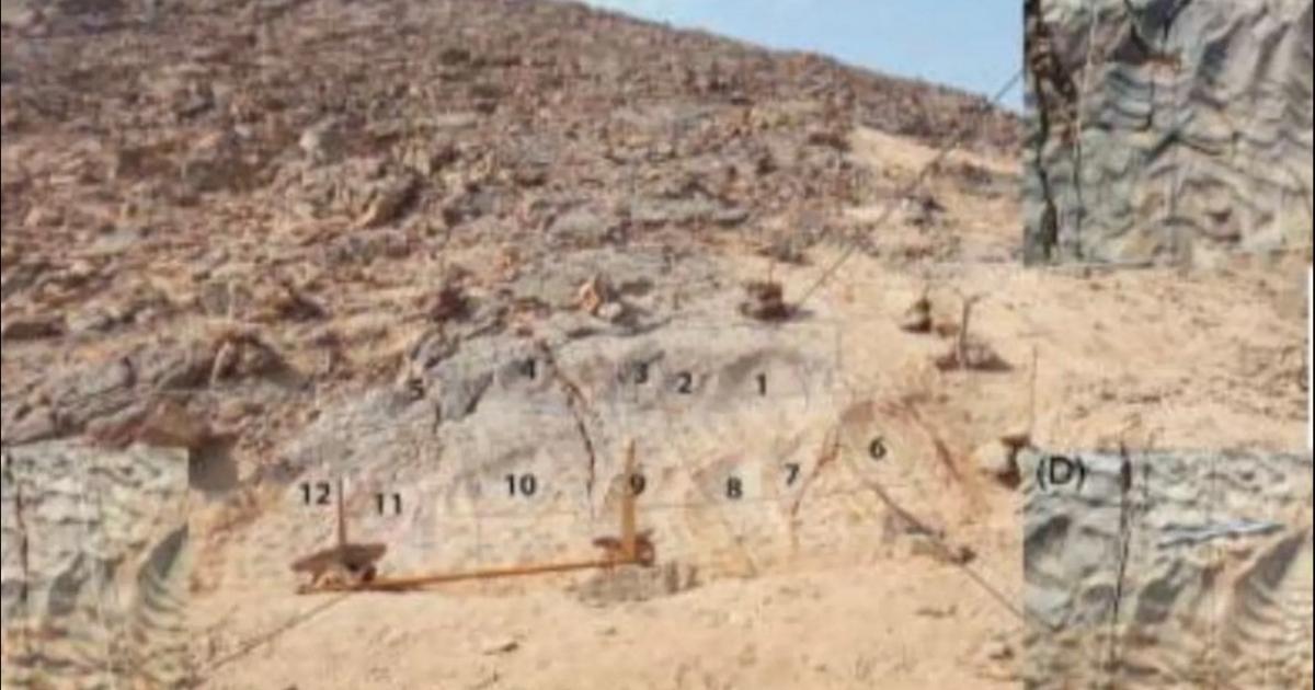 بالصور: مصر: اكتشاف آثار أقدام ديناصورات قديمة