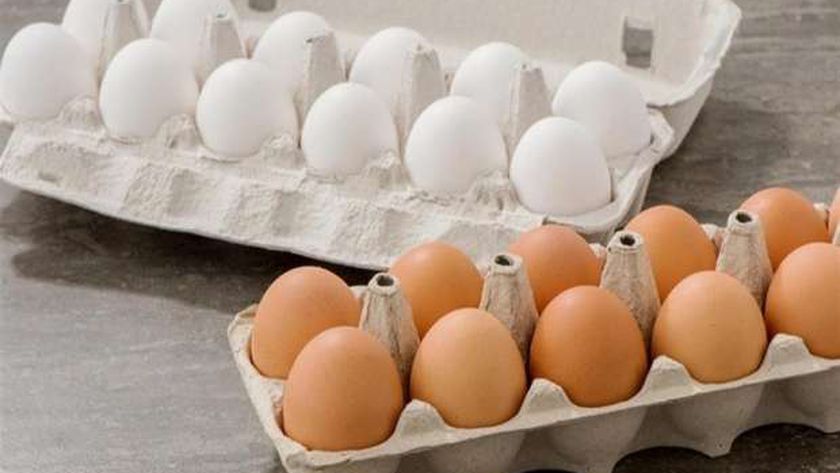 انخفاض أسعار البيض في الأسواق.. «افرحوا يا مصريين»