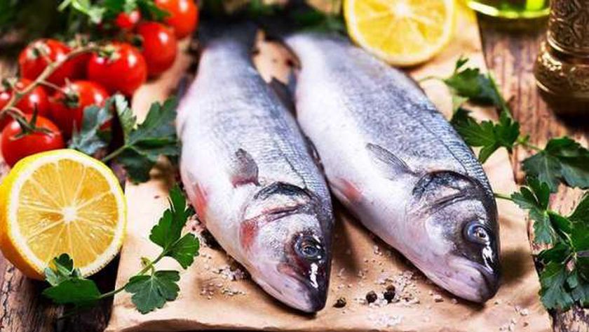 أسعار السمك البلطي في الأسواق اليوم الخميس.. البلطي بـ24 جنيها