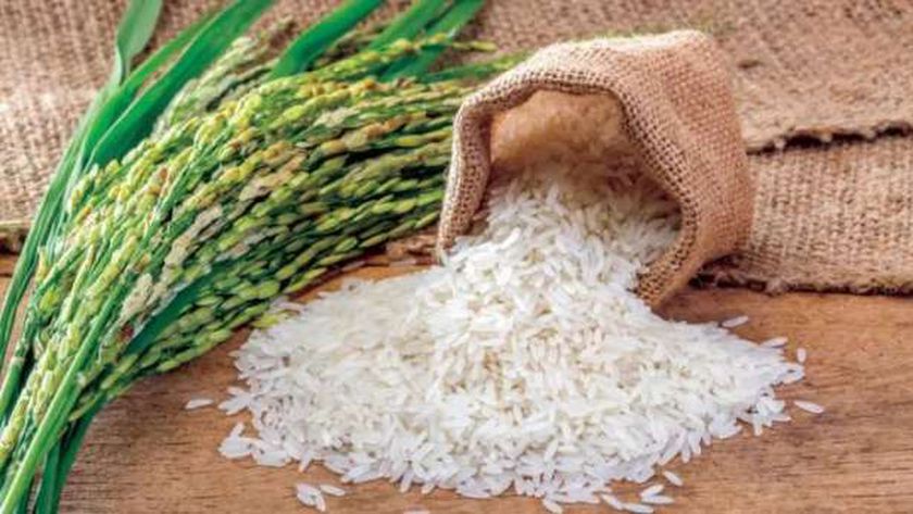 سعر طن الأرز الشعير اليوم الأربعاء 8 مارس 2022 .. انخفض 10%