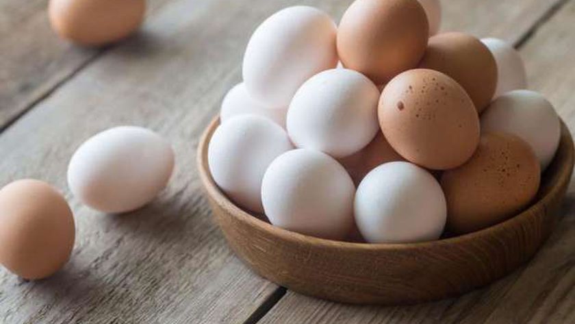 أطعمة تغنيك عن تناول البيض.. «حلول عديدة للحصول على البروتين»