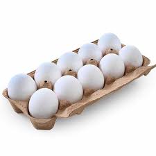 ما هو البيض الاورجانيك