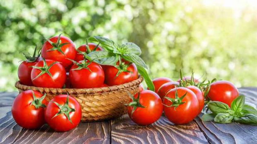 سعر الطماطم اليوم والخضروات المختلفة في الأسواق المصرية
