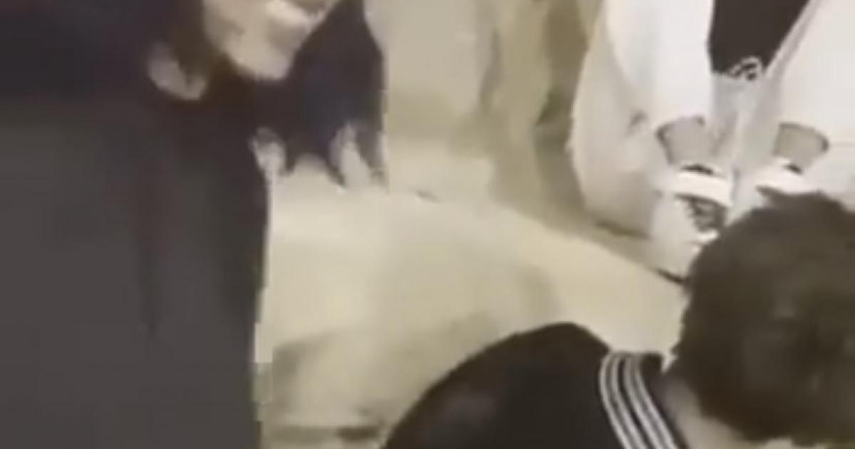 عاجل:: شاهد: فيديو فتاة تعنف صديقتها يثير غضب السعوديين