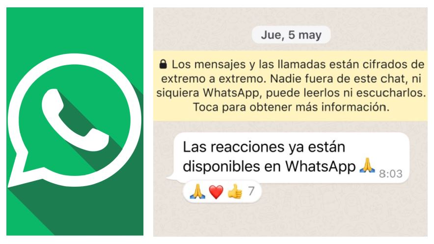 WhatsApp: كيفية التفاعل مع الرموز التعبيرية على الرسائل على Android و iPhone و WhatsApp Web