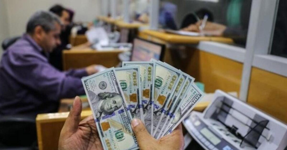 عاجل:: رابط فحص 100 دولار المنحة القطرية شهر 5 في غزة الآن