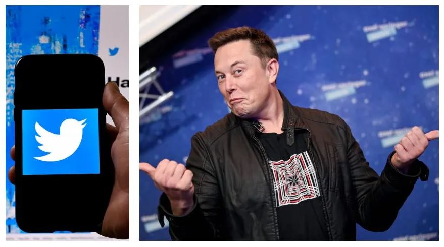 شراء Twitter في الهواء: مطالب Elon Musk بإغلاق أعمال الشبكة الاجتماعية (الحسابات الزائفة ونسب المصداقية)