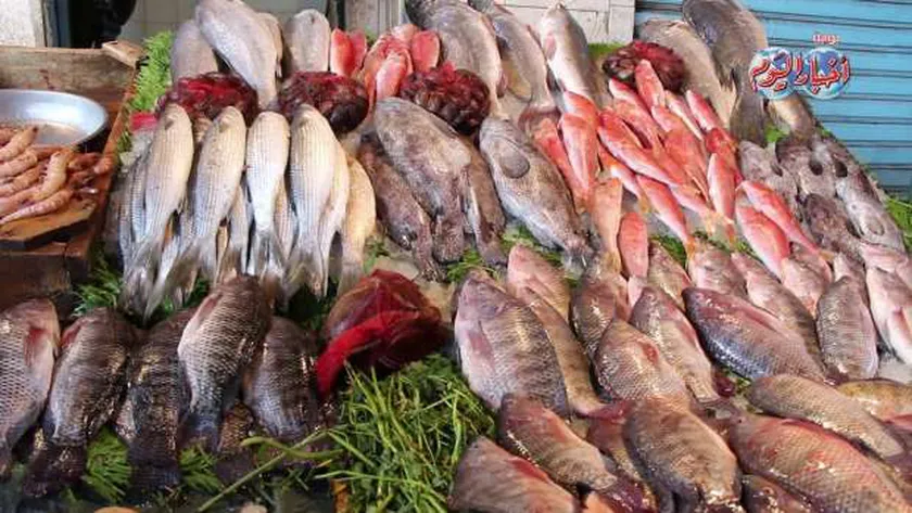 أسعار السمك اليوم في مصر.. البوري يصل لـ70 جنيها بالأسواق