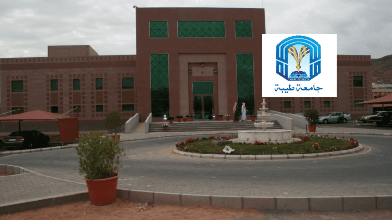 استعلام عن بيانات خريج في بلاك بورد جامعة طيبة 1444