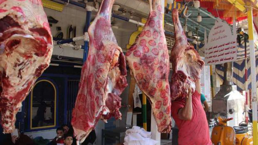 أسعار اللحوم اليوم في منافذ «التموين» ومحلات الجزارة.. تبدأ من 115 جنيها