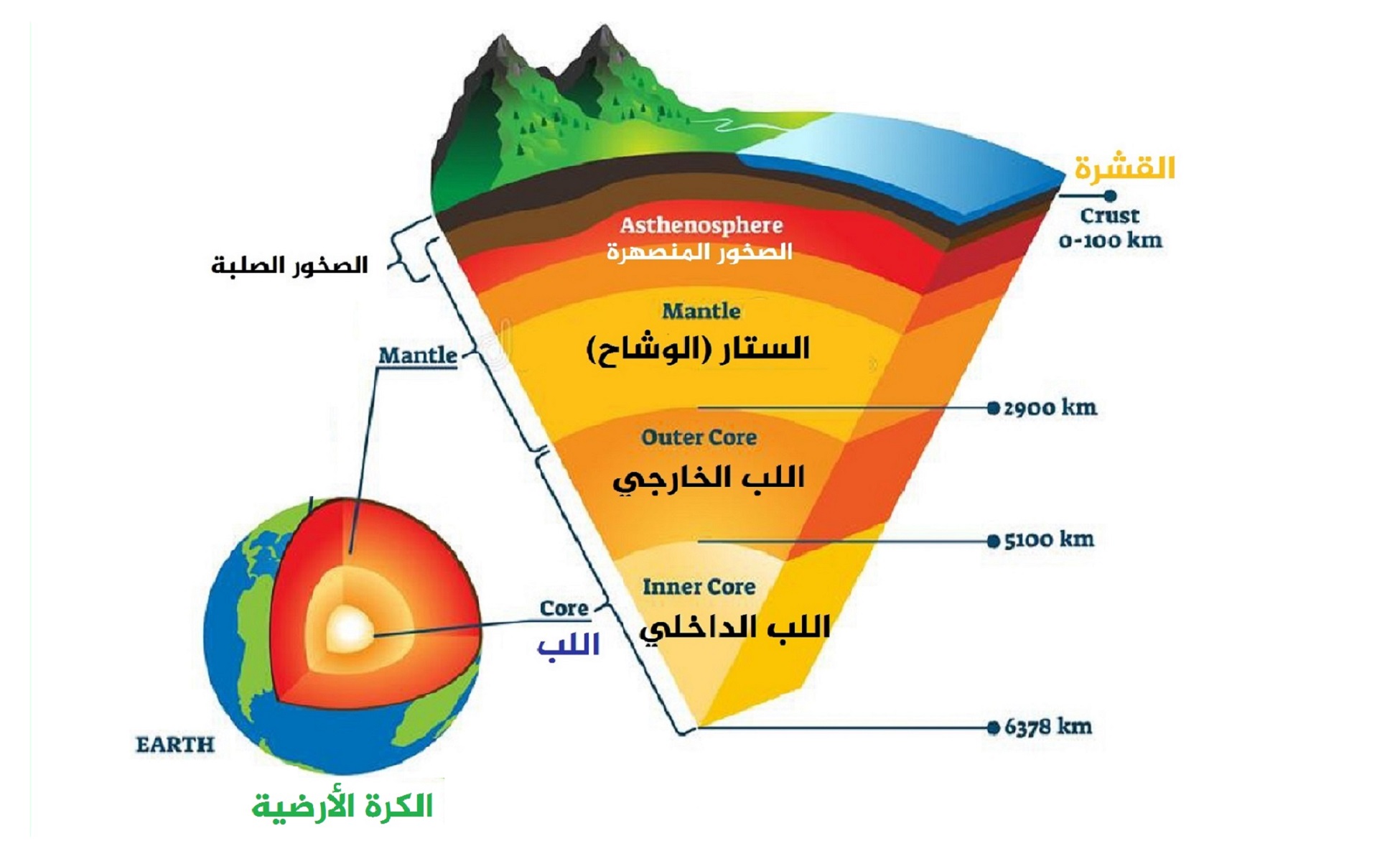 يوضح الرسم أدناه الطبقات الجيولوجية لصخور تحتوي على أحافير
