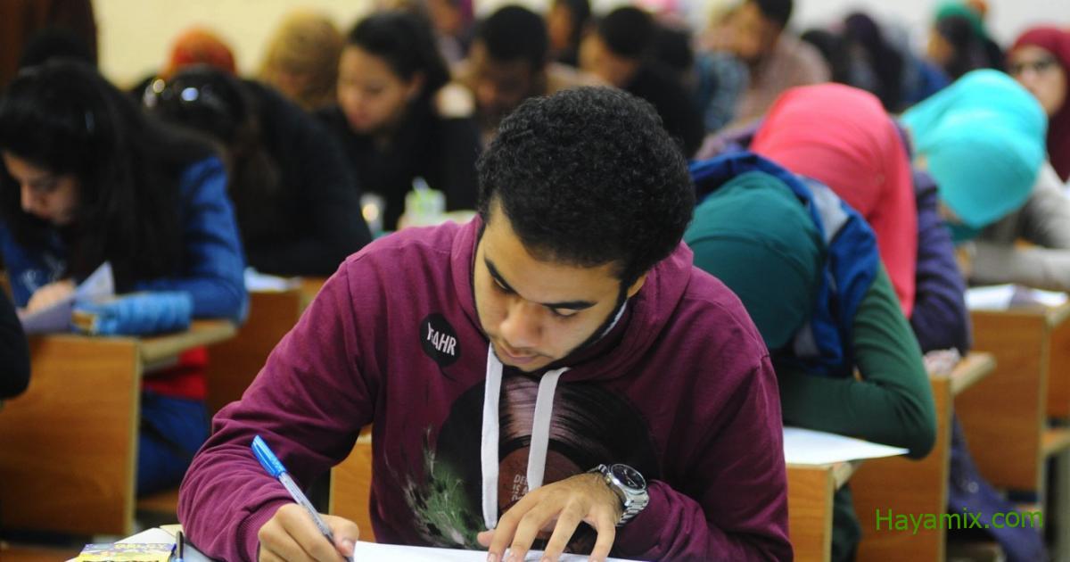 صورة: الخطة الدراسية لمادة اللغة العربية لجميع المراحل التعليمية في مصر