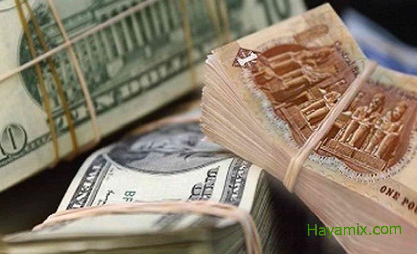 ارتفاع سعر الدولار مقابل الجنيه المصري اليوم الثلاثاء 1 نوفمبر 2022