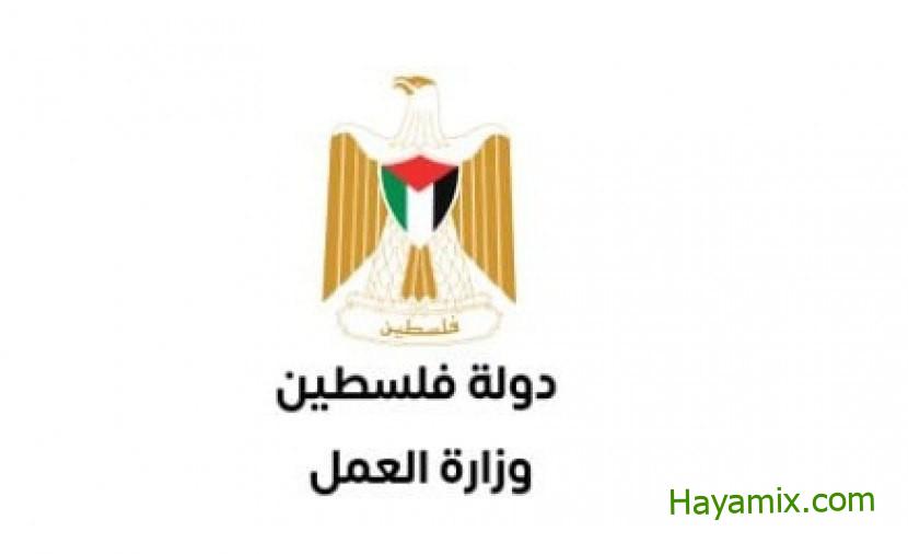 رابط التسجيل في بطالات وزارة العمل بغزة
