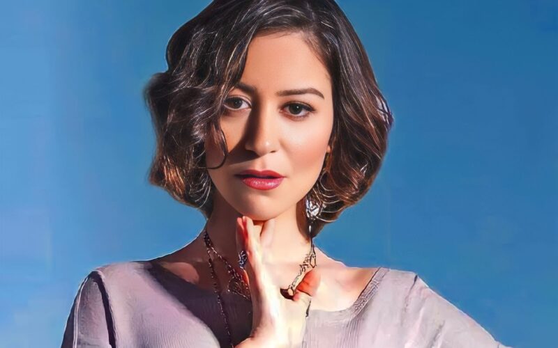 منة شلبي: سبب القبض على الفنانة منة شلبي أثناء عودتها من السفر