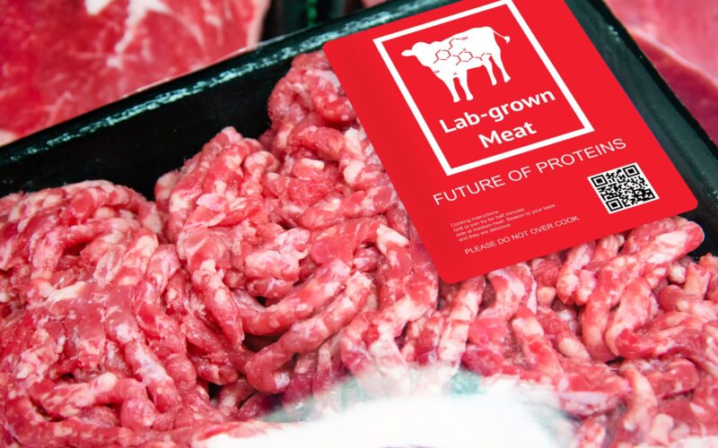 يتم طرح اللحوم المزروعة في المختبر في الأسواق حيث يقر الخبراء أنها آمنة للاستهلاك