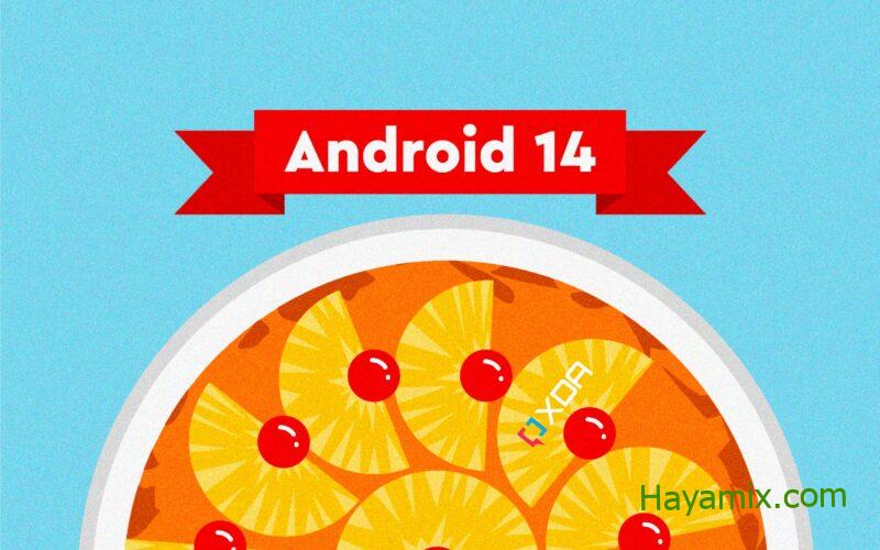 قد يأتي Android 14 بشهادات جذر قابلة للتحديث