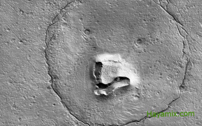 غريب!  بعد البطة ، رصدت بادينغتون بير على سطح المريخ بواسطة ناسا!