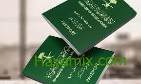 الاستعلام عن تأشيرة السعودية 2024 برقم الجواز عبر منصة التأشيرات visa.mofa.gov.sa