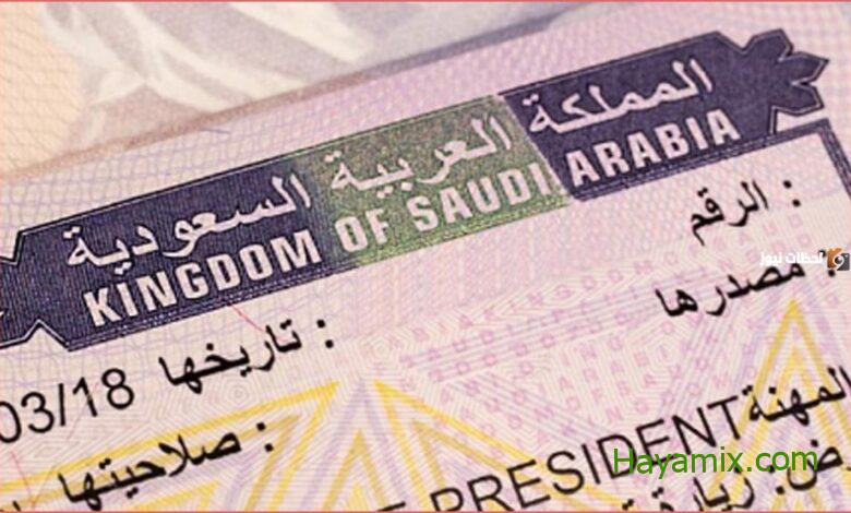 استعلام عن تأشيرة برقم الطلب 2024/1445 عبر منصة التأشيرات الإلكترونية