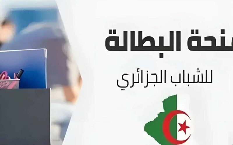 خطوات تجديد منحة البطالة بالجزائر 2025 وأهم الشروط المطلوبة