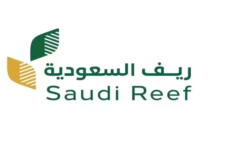 رابط الاستعلام عن ريف شهر يونيو 2025